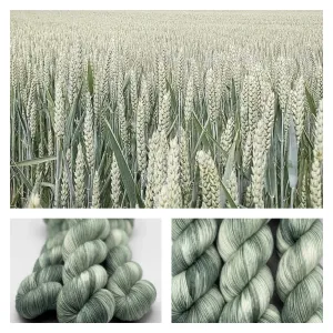 Green Of Wheat