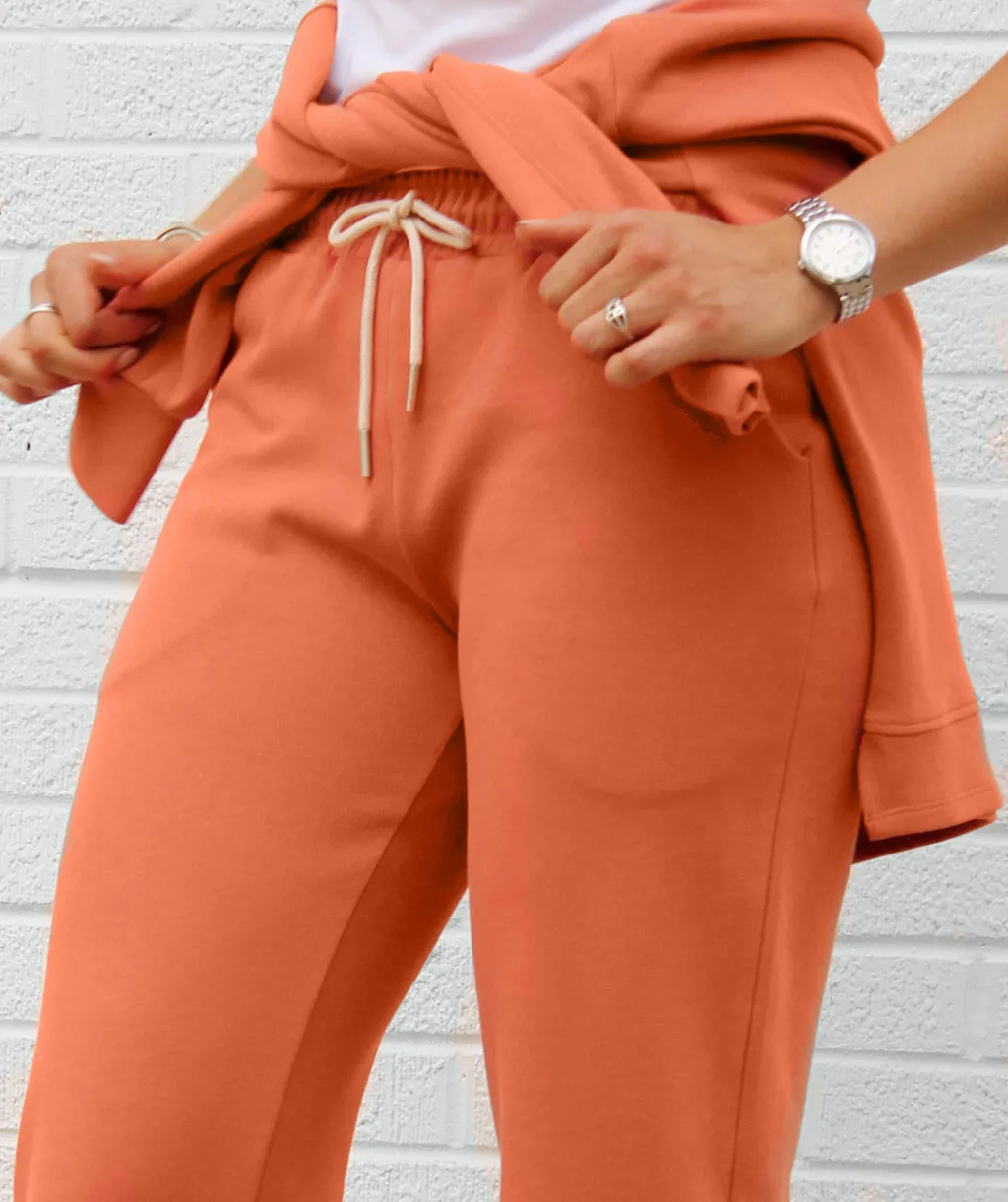 JESSE double knit joggers in Rosewood