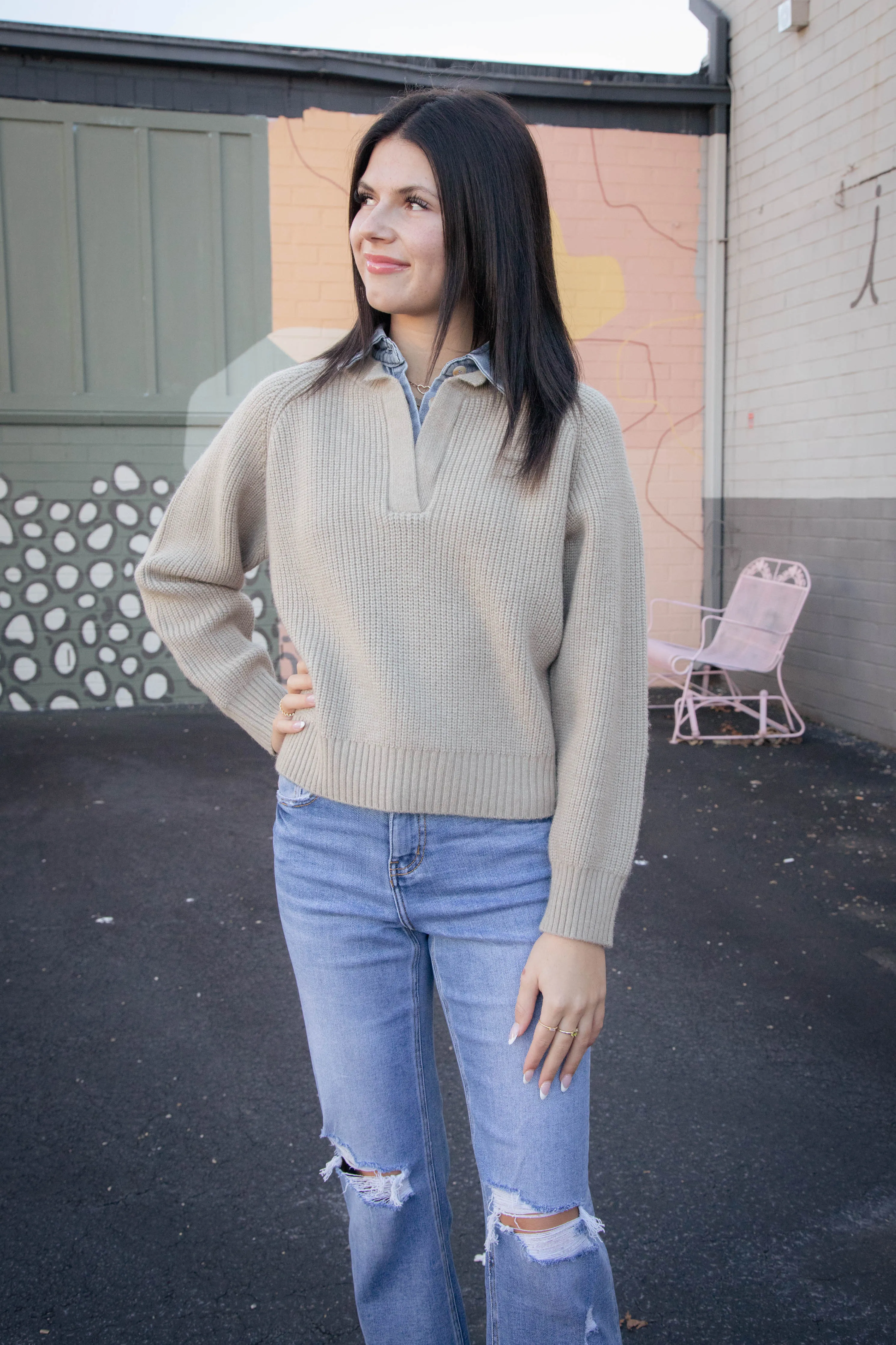 Jodi Denim Contrast Sweater, Taupe/Denim