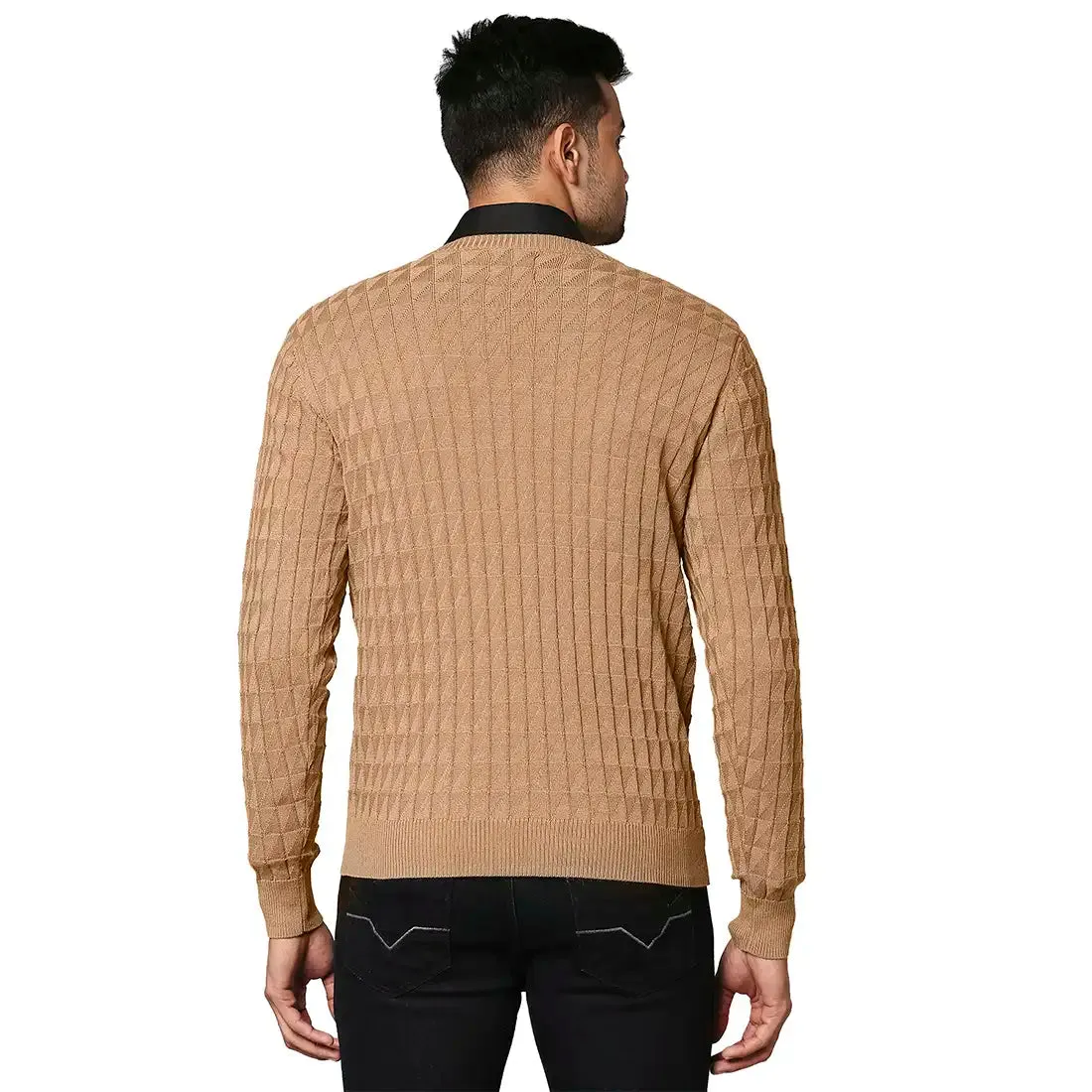 Men Fawn Wrapper Wool Blend Full Sleeve V Neck Collar Sweaters